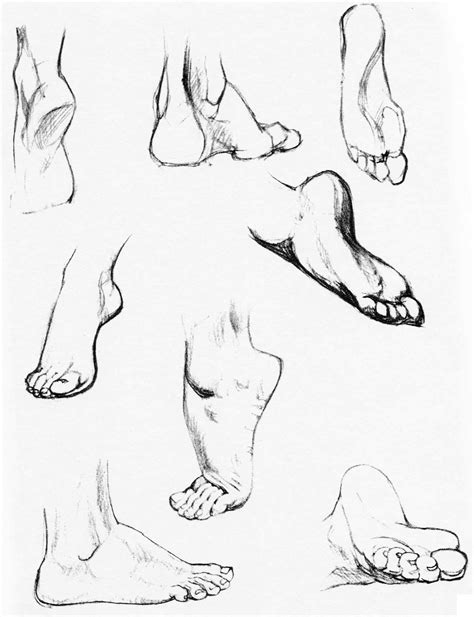 feet drawing step by step|feet anatomy drawing.